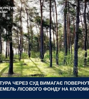 Прокуратура Прикарпаття через суд вимагає повернути понад 24 га земель лісового фонду на Коломийщині