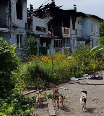 Усю ніч ішли пішки: як останні жителі залишали зруйновані Івашки на Харківщині 