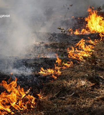 Фото: на Черкащині спалахнула масштабна лісова пожежа
