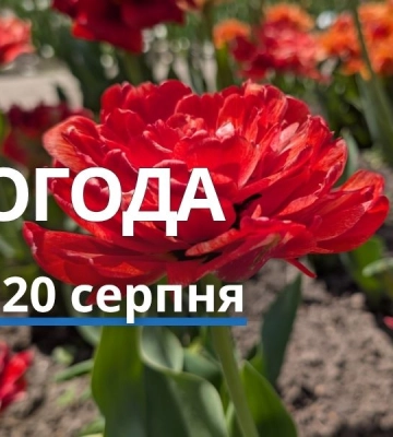 Якою буде погода у Харкові та області 20 серпня