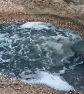 У Маріуполі неочищені стічні води зливають прямо в море (ВІДЕО)