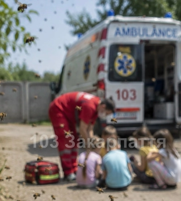 На Берегівщині рій бджіл покусав групу дітей