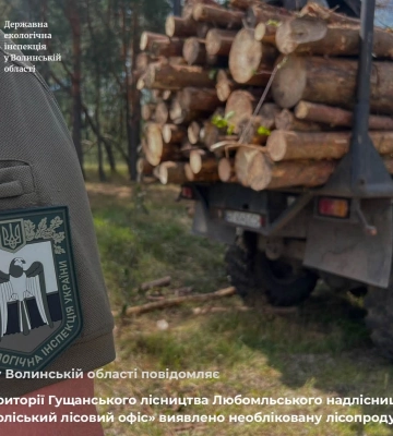 На Волині жінку покарали за незаконну закупівлю чорниць