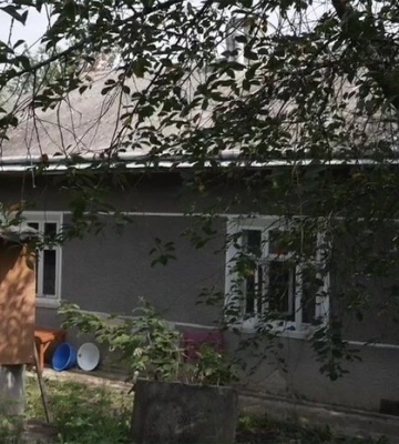 Молода пара купила за $2 800 закинуту хату і облаштовує дім на Буковині