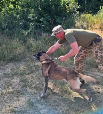«Він ніколи не помиляється»: волинський прикордонник розповів про свого чотирилапого напарника, який шукає порушників