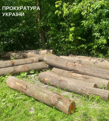 На Тернопільщині з ДП «Ліси України» стягнуть понад 4,7 млн грн через незаконну вирубку дерев