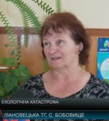 Вода відступила, риба масово гине: на Закарпатті водойма опинилася на межі екологічної катастрофи (відео)