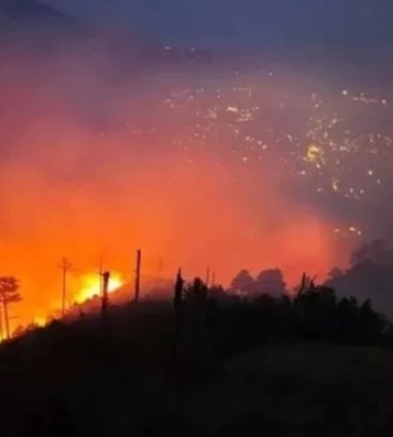 У Ялті вже п’ятий день не можуть загасити лісову пожежу