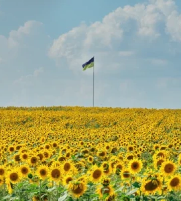 Якою буде погода у Львівській області на День Незалежності