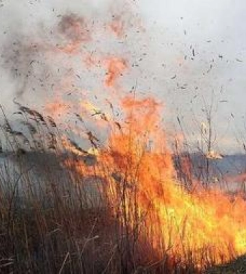 На Полтавщині через падіння уламків дрона загорілася суха рослинність