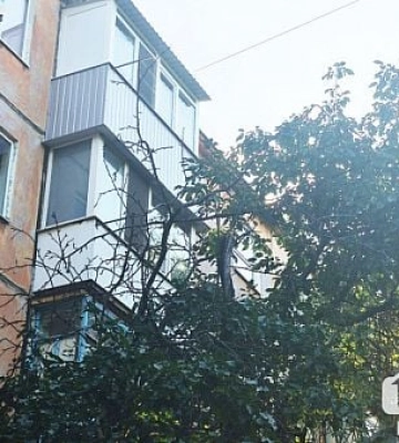 Роми з Довгинцевого прийшли на допомогу: криворіжці скаржаться на небезпечні сухі гілки у дворі