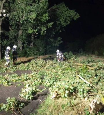 На Волині рятувальники прибрали велике дерево, яке перекрило дорогу