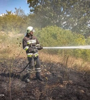 Вогонь охопив 1,2 га і підступав до хат: на Ужгородщині жінка опинилася у палаючій пастці, намагаючись врятувати село