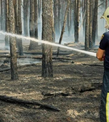 На Київщині триває ліквідація масштабної лісової пожежі