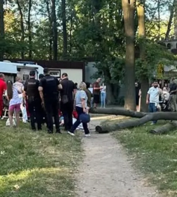 На жінку впало дерево у Центральному парку Вінниці