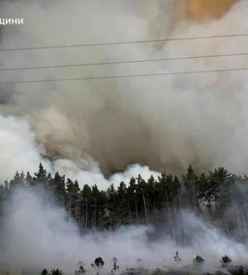 На Київщині досі палає ліс: до гасіння масштабної пожежі залучили авіацію ДСНС