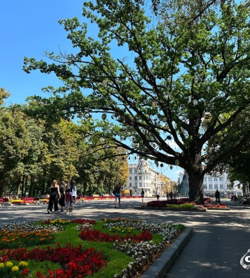 Новости Харькова – главное 25 августа: смертельный удар по городу