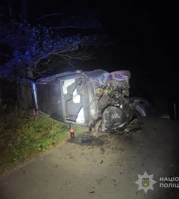 На Волині п'яний водій Citroen влетів у дерево, травмувалася 16-річна дівчина