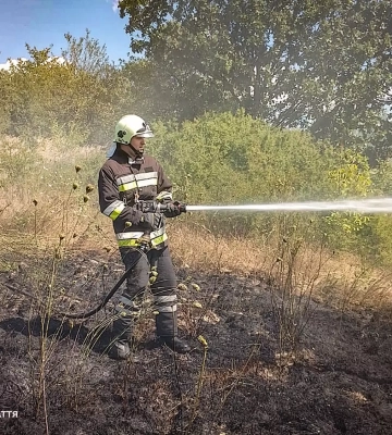 На Ужгородщині під час пожежі сухостою травмувалася жінка