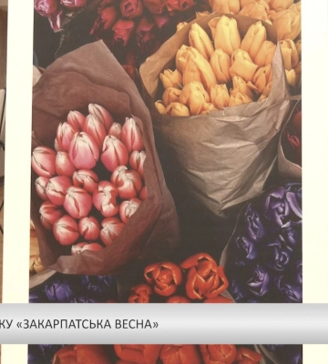 Дослівно – Про фотовиставку «Закарпатська весна» (відео)