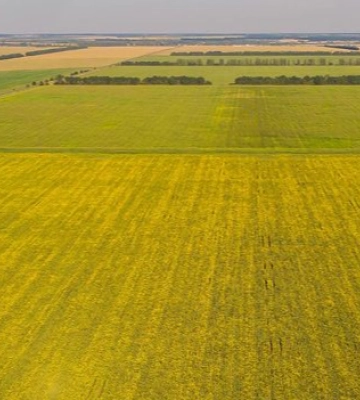 Підприємство на Волині заплатить громаді понад 1 млн грн за користування землею без оформлення