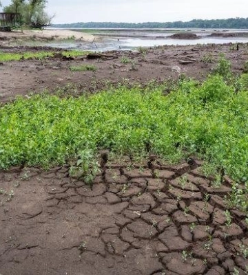 П’ять річок на Львівщині досягли рекордно низьких рівнів води: синоптики оголосили гідрологічне попередження