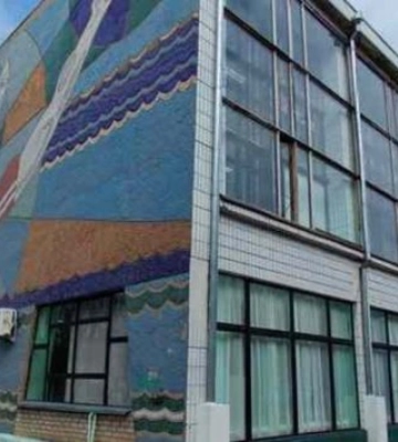 Мозаїку на спорткомплексі «Зоря» заховають під композитом