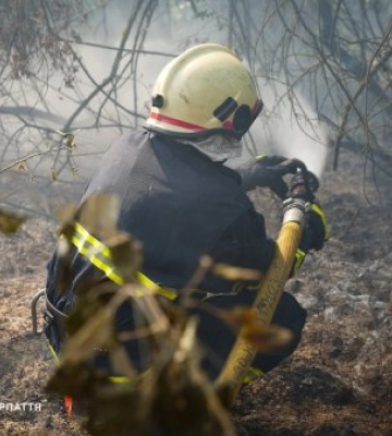 Полум'я підбиралося до лісу: під Чопом залучили дрони для приборкання масштабної пожежі