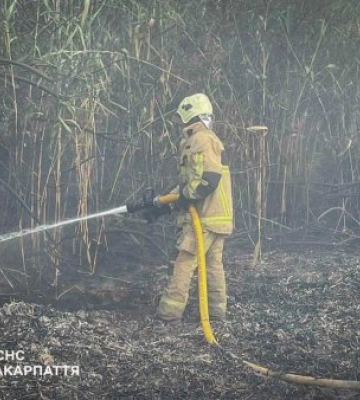 Вогняне пекло у Виноградові: шквалистий вітер роздмухує масштабну пожежу, знищено 10 гектарів землі