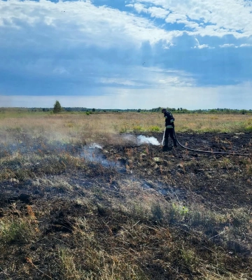 Понад 11 гектарів сухої рослинності вигоріло на Рівненщині за добу