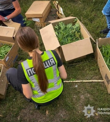 На Сумщині поліцейські викрили і на гарячому, і на "зеленому" чергового наркоаграрія