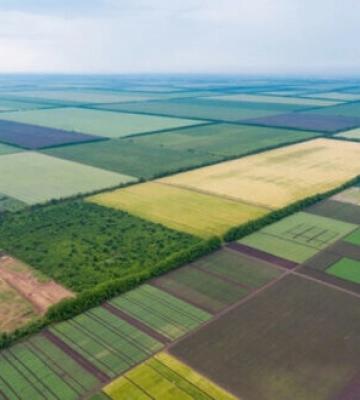 У росіян через суд конфіскують 7 гектарів сільгоспземлі на Київщині