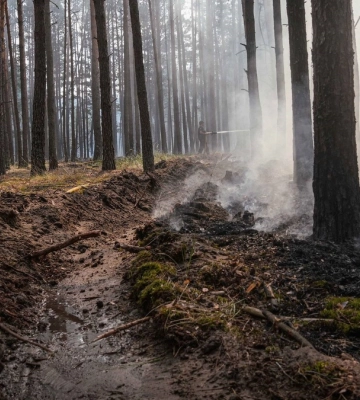 На Київщині рятувальники четверту добу борються з лісовою пожежею – ДСНС