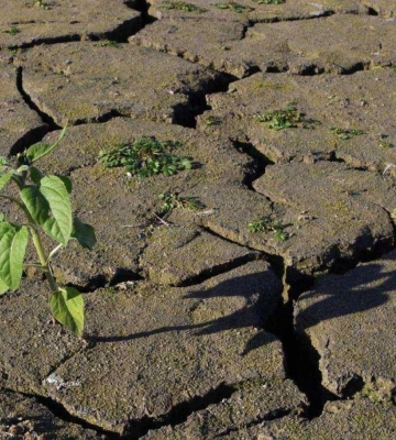 П’ять річок Львівщини мають рекордно низькі рівні води