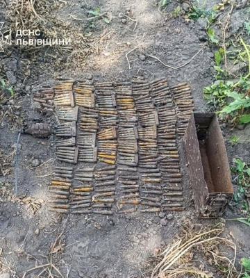 На Львівщині за добу знищили гранату, 260 патронів і два артснаряди часів Другої світової війни