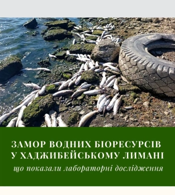 На Одещині стався масовий замор риби у Хаджибейському лимані 