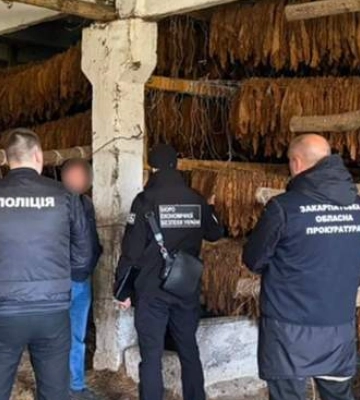 Депутат із Закарпаття уник тюрми за незаконне вирощування і збут тютюну