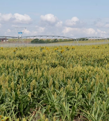 На Одещині агровиробникам продемонстрували американські технології для модернізації зрошення