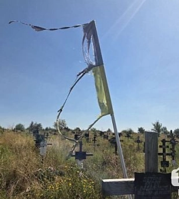 Могили заросли бур’янами та амброзією: як виглядає кладовище, на яке Кривий Ріг витрачає мільйони