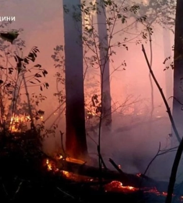 У заповіднику «Древлянський» на Житомирщині гасять лісову пожежу