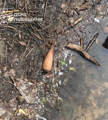 На Львівщині в обмілілому озері знайшли міни часів Другої світової війни, - ФОТО