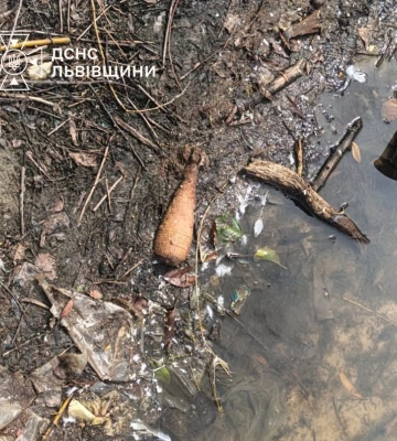 В обмілілому озері у Львівському районі виявили дві мінометні міни часів Другої світової війни