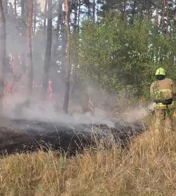 На Рівненщині за добу рятувальники ліквідували 7 пожеж у природних екосистемах