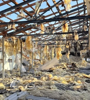 Загинуло понад 20 тисяч голів птиці. Російська атака знищила пташник у Чернігівській області