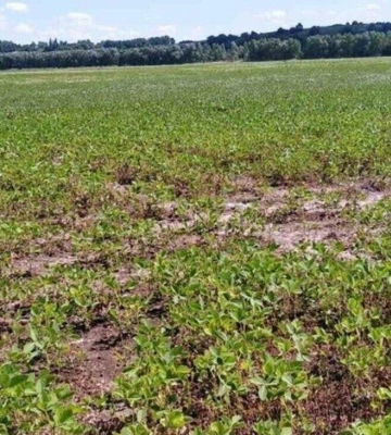 Суд розірвав договір оренди та повернув Львову майже 28 гектарів землі