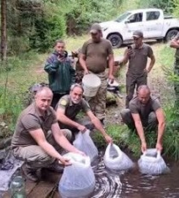 У річки Закарпаття випустили рекордну кількість рідкісної риби: які водойми поповнилися новим життям
