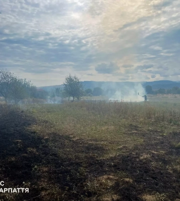 З початку року на Закарпатті ліквідовано 1767 пожеж в екосистемах