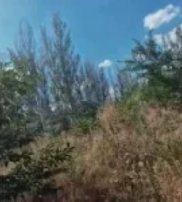 Подружжя постраждало від удару російського FPV-дрона під час виїзду з Дружківки
