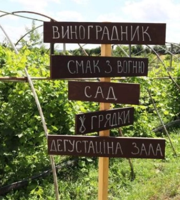 Вино, ефіроолійні рослини та локальні продукти: на Львівщині запрацювала нова агролокація