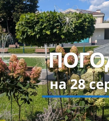 Погода у Харкові та області 28 серпня: до +25° та без істотних опадів